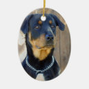 Pesquisar por rottweiler ornamentos Rottie