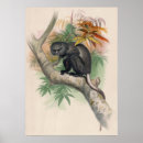 Pesquisar por macaco vintage artes pôsteres Animais