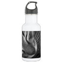 Pesquisar por gato preto garrafa agua Gatinho