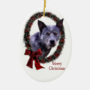 Pesquisar por acd ornamentos Natal