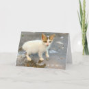 Pesquisar por gato engraçado cartoes Obrigado de gato
