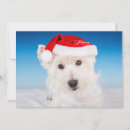 Pesquisar por westie christmas cartoes Feriado