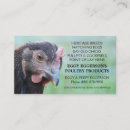 Pesquisar por rhode cartao de visita Galinha