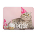 Pesquisar por foto engraçada do gato imas Engraçado