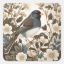 Pesquisar por junco adesivos Junco de olhos escuros