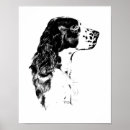 Pesquisar por springer spaniel pôsteres Cão