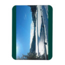 Pesquisar por yellowstone cartoes Neve