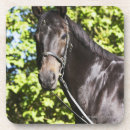 Pesquisar por cavalo marrom porta copos Natureza