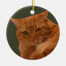 Pesquisar por alaranjado ornamentos Gatinho