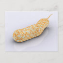 Pesquisar por bactérias cartoes postais Ciência