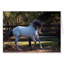Pesquisar por cavalo espanhol Garanhão