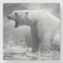 Pesquisar por urso branco porta copos Ártico