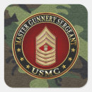Pesquisar por sargento mor adesivos Usmc mgysgt 3d