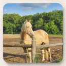 Pesquisar por palomino porta copos Cavalo