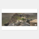 Pesquisar por documentos adesivos Cbc