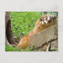 Pesquisar por acordar cartoes postais Natureza