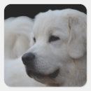 Pesquisar por polido adesivos Cachorro bonito