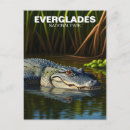 Pesquisar por jacaré florida cartoes postais Pântano