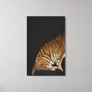 Pesquisar por tiro impressão de canvas Animais selvagens