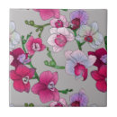 Pesquisar por orquídeas azulejos Tropical