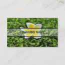 Pesquisar por flores havaianas cartao de visita Plumeria