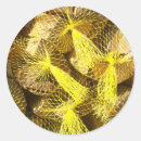 Pesquisar por da lenha adesivos Amarelo