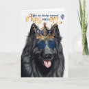 Pesquisar por sheepdog cartoes Cães
