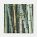 Pesquisar por floresta de bambu imas Japão