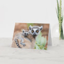 Pesquisar por lemur cartoes Vida selvagem