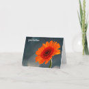 Pesquisar por gerbera cartoes Obrigado