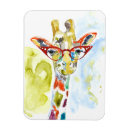 Pesquisar por óculos imas Zoológico