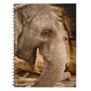 Pesquisar por elephant cadernos de notas Elefante