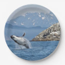 Pesquisar por photo pratos Mamífero