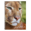 Pesquisar por pumas escritorio escola Animal