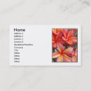 Pesquisar por plumeria cartao de visita Tropical