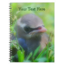 Pesquisar por beija flor papelaria escritorio For kids