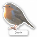 Pesquisar por pássaros adesivos Bonito