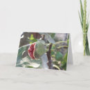 Pesquisar por aberto cartoes Foto