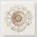 Pesquisar por de das medusa porta copos Haeckel