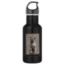 Pesquisar por dog garrafa agua Cão