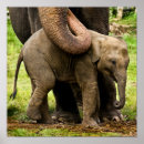 Pesquisar por asiático pôsteres Elefante