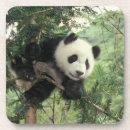 Pesquisar por panda porta copos Bebê