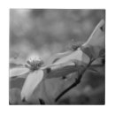 Pesquisar por cães azulejos Flores