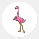 Pesquisar por chave inglesa adesivos Aves