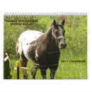 Pesquisar por appaloosa Animal
