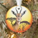 Pesquisar por wild ornamentos Vida selvagem