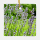 Pesquisar por lavanda ornamentos Verão