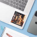 Pesquisar por maine coon adesivos Gatinho