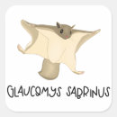 Pesquisar por ciência adesivos Natureza