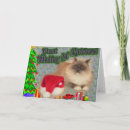 Pesquisar por christmas cat cartoes postais Pets